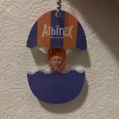 アルビレックス新潟　22新井泰貴　パカっとアクリルキーホルダー