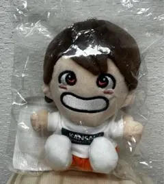 Aぇ! group 福本大晴 ちびぬい 値下げしました❗️