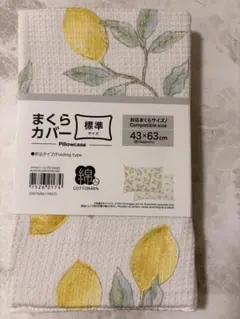 Item thumbnail for item 4e68116f-93ca-42de-971d-562928d2e4b6