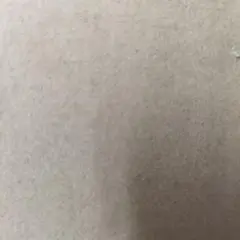 専用