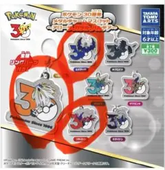 ポケモン30周年メタルチャームマスコット　アローラ、ガラル、パルデア