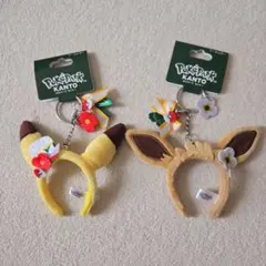 ポケパークカントー ピカチュウ イーブイ ピンズセット カチューシャキーホルダー ポケパーク カントー ピカチュウ カチューシャホルダー - メルカリ