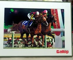 ジェンティルドンナ　ジャパンカップ優勝フォト　Gallop非売品