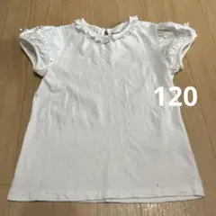 最終お値下げ！　メゾピアノ　120 カットソー白