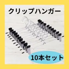 クリップハンガー 10本セットのサムネイル
