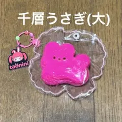 taonini タオニニ 千層うさぎ(大) スクイーズ ニーニ - メルカリ