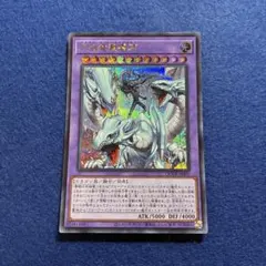匿名配送 究極竜魔導師 QCDB-JP001 初版シク2枚 - メルカリ