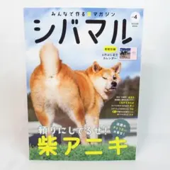 Item thumbnail for item 3376cf52-bc65-4e1c-a874-1cf21d9b37df