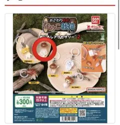 なめこ栽培キット めじるしアクセサリー2 長なめこ