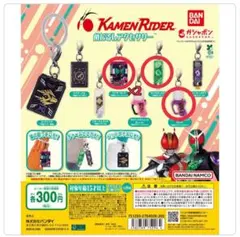 仮面ライダーシリーズ めじるしアクセサリー