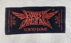 悪魔が来たりてベビメタる ミニカー&スポーツタオル 未開封 悪魔が来たりてベビメタる ミニカー&スポーツタオル 未開封 聖飢魔