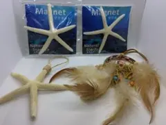 ハワイアン ヒトデ スターフィッシュ ドリームキャッチャー車 インテリア匿名配送