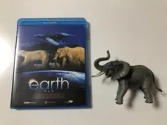 Item thumbnail for item d1b6c0b3-72f2-4c6f-af18-16dcc9902d9b