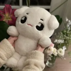 NCT NCT127 テヨン テョンヤ ぬいぐるみ 40cm - メルカリ