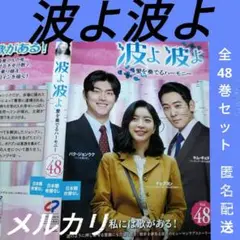 韓国ドラマDVD【波よ波よ】全巻セット　レンタル落ち　韓流　全48巻揃いお買い得