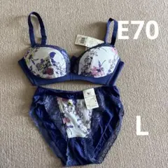Wacoal ブラジャーショーツセット E70 ネイビー