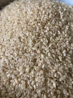 ☆送料込み☆長野県産☆R7年産☆　あきたこまち玄米30kg 　ラスト2袋 ☆送料込み☆長野県産☆R7年産☆ あきたこまち玄米30kg ラスト2袋