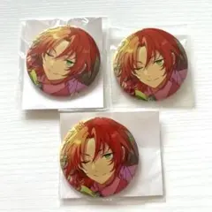 あんスタ 缶バッジ 月永 レオ 40個セット あんスタ 月永レオ フィーチャー2 星4 5周年 缶バッジ - メルカリ