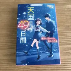 天国までの49日間 noka