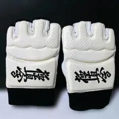 Item thumbnail for item 2132d54b-8e59-4655-9a37-42fb6b9041d8