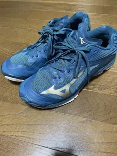 Mizuno バレーボールシューズ WAVE LIGHTNING 27cm 2026年最新】Mizuno wave lightning 27の人気アイテム - メルカリ