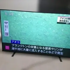 2025年最新】regza 55 有機elの人気アイテム - メルカリ