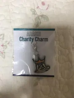 嵐 チャリティー チャーム