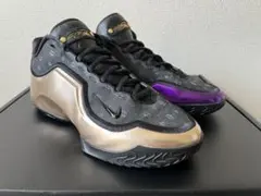 希少 Nike LeBron XXIII 27cm ナイキ レブロン 23 - メルカリ