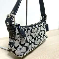 コーチ アクセサリーポーチ ワンショルダーバッグ タッセル シグネチャー