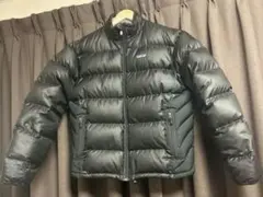 2006年 Patagonia インサレーショングースダウン