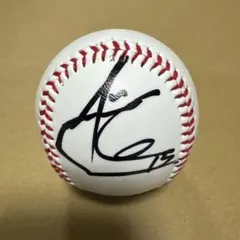 日本ハム アリエル・マルティネス 直筆サインボール 記念ケース付き 北海道日本ハムファイターズ アリエル・マルティネス 直筆サインボール