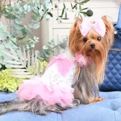 luxebirdieリュクスバーディ ルシースカート タンクセット ピンクSS luxebirdieリュクスバーディ ルシースカート タンクセット ピンクSS