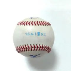 2009年 広島カープ #53 林昌樹 実使用 サイン入り ユニフォーム 2025年最新】実使用広島カープの人気アイテム - メルカリ