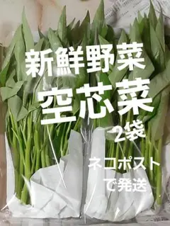 健康葉物野菜　空芯菜　二袋入り　農薬未使用野菜　ネコポスト箱で発送のサムネイル