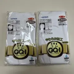 GUNZE スパンブリーフ Lサイズ 2枚セット