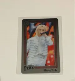 Stray Kids エコパスタジアム事後通販　ランダムライブフォトカード