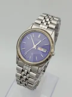 希少 シチズン CITIZEN CQ 6100-S96389