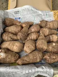 はなはな様専用ページ