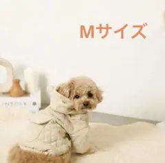 モンシェリ クマ耳付きコーデュロイ アウター Mサイズ