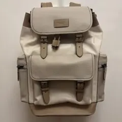 COACH レザー バックパック クレイジーパターン レザーコンビ希少カラー
