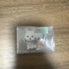コロマル　八景島シーパラダイス　アクリルスタンド