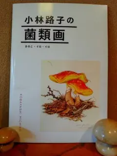 2025年最新】小林路子の人気アイテム - メルカリ