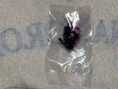 ハローキティ　めじるしチャーム　小悪魔Ver.