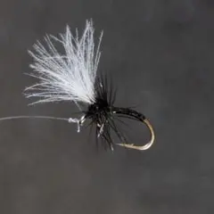 pakopako様 リクエスト 3点 まとめ商品