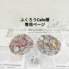 ふくろうCafe様専用寄せセット