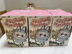 LABUBUラブブ マカロン ぬいぐるみ シリーズ 正規品 公式 6種類全