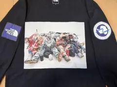 THE NORTH FACE ノースフェイス　アンタークティカ　ロンT Tシャツ