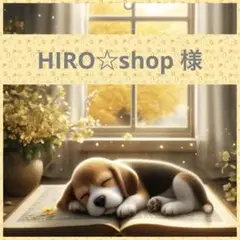 HIRO☆shop 様❤︎専用