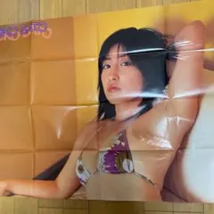 Item thumbnail for item 24113226-8a17-464a-a60c-c5aedea0ad38