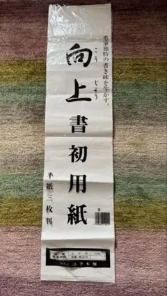 レイメイ/黎明/書道用紙 上半紙 清書・練習用/20枚×50袋 レイメイ/黎明/書道用紙 上半紙 清書・練習用/20枚×50袋 - メルカリ